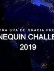 MANNEQUIN CHALLENGE 2019